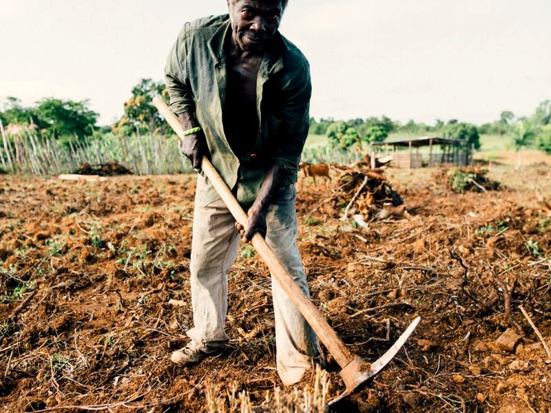 Black-owned farms & legacy